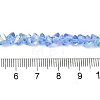 Transparent Glass Beads Strands EGLA-P061-04B-AB01-4