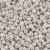 50G Glass Seed Beads SEED-PA0001-36C-01-7