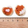 Opaque Resin Imitation Food Decoden Cabochons RESI-B027-05-3