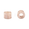 Cylinder Seed Beads SEED-H001-H02-5