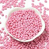 Baking Paint Luster Glass Seed Beads X1-SEED-B001-04A-01-2