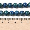 Natural Sesame Jasper/Kiwi Jasper Beads Strands G-L614-A01-01-5