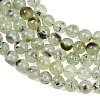 Natural Prehnite Beads Strands GG-CBA7D2C-A01-6mm-3