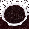 FGB Transparent Glass Seed Beads SEED-N013-01A-02-2