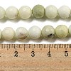 Natural Dendritic Jasper Beads Strands G-E571-A05-02-5