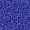 TOHO 8/0 Round Beads SEED-XTR08-0035-2