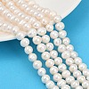 Natural Cultured Freshwater Pearl Beads Strands PEAR-I007-07X-06A-1