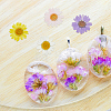 80Pcs 8 Colors Pressed Dried Flowers DIY-HY0001-73-4