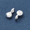 925 Sterling Silver Charms STER-H119-05B-S-2