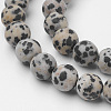 Natural Dalmatian Jasper Bead Strands G-G735-68F-8mm-3