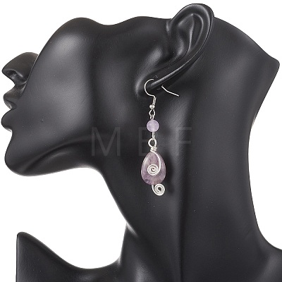 Natural Amethyst Teardrop Dangle Earrings EJEW-JE06719-1