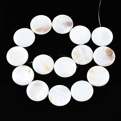 Natural Freshwater Shell Beads Strands X-SHEL-Q024-006-1