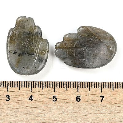 Natural Labradorite Pendants G-K359-03E-1