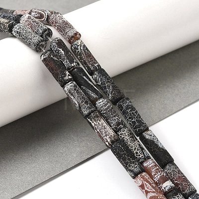 Natural Weathered Agate Beads Strands G-Q169-A04-02-1