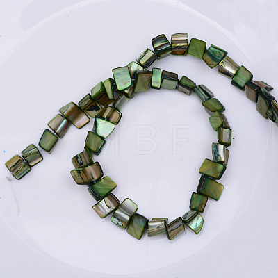 Natural Shell Beads Strands X-PBB050Y-1