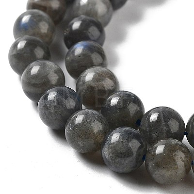 Natural Labradorite Beads Strands G-S333-8mm-035-1