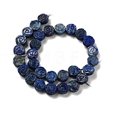 Natural Lapis Lazuli Beads Strands G-D475-01F-1