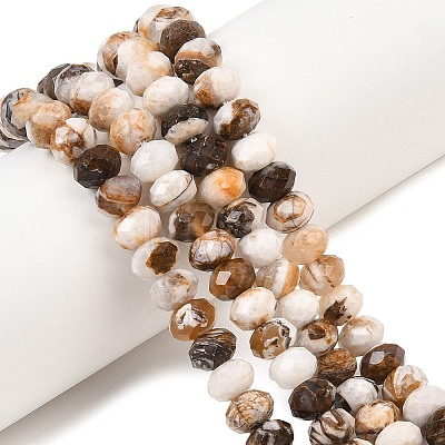 Natural Petrified Wood Beads Strands G-C259-A29-5x8mm-1
