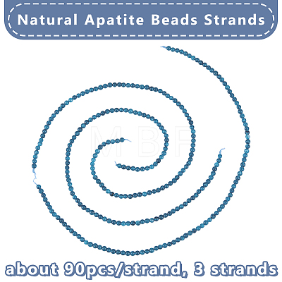 3 Strands Natural Apatite Beads Strands G-OC0003-01-1