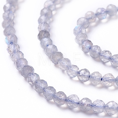 Natural Labradorite Beads Strands X-G-L581A-002-1