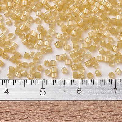 MIYUKI Delica Beads X-SEED-J020-DB1801-1
