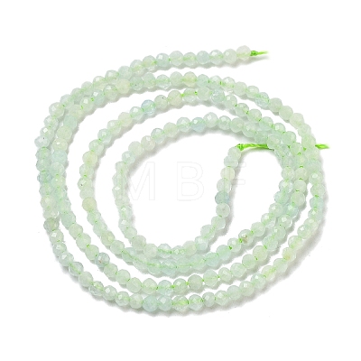 Natural Green Opal Beads Strands G-Z035-A02-01D-1