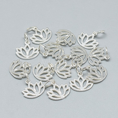 925 Sterling Silver Charms X-STER-T002-277S-1