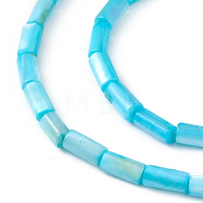 Natural Freshwater Shell Dyed Beads Strands SHEL-M018-11-04-1