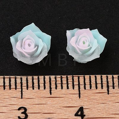 Luminous Resin Decoden Cabochons RESI-K036-46-1