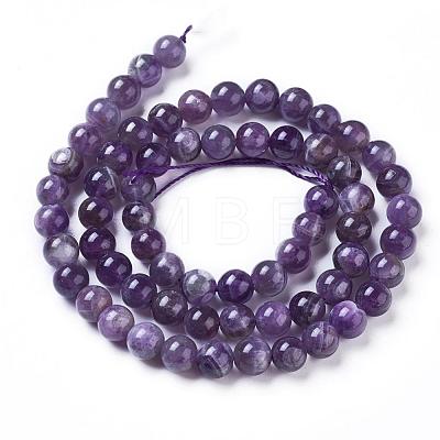 Natural Amethyst Round Bead Strands G-L170-6mm-03-1
