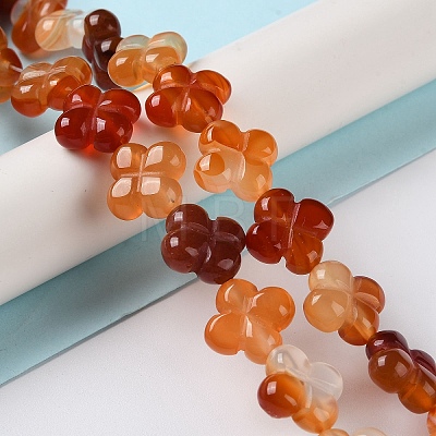 Natural Red Agate Beads Strands G-M418-D02-01-1