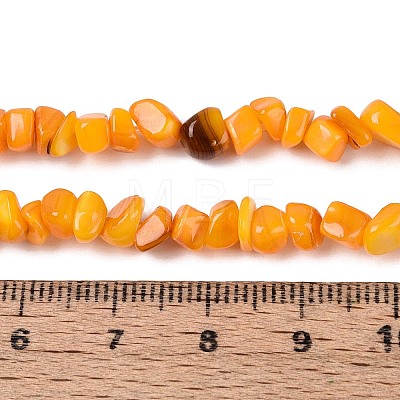 Natural Freshwater Shell Beads Strands SHEL-N037-04G-1