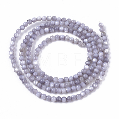 Natural Freshwater Shell Beads Strands BSHE-T009-01-1