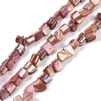 Dyed Natural Freshwater Shell Beads Strands SHEL-P016-01G-1