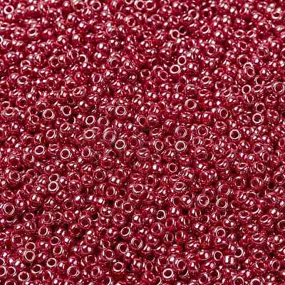 MIYUKI Round Rocailles Beads X-SEED-G008-RR0425-1