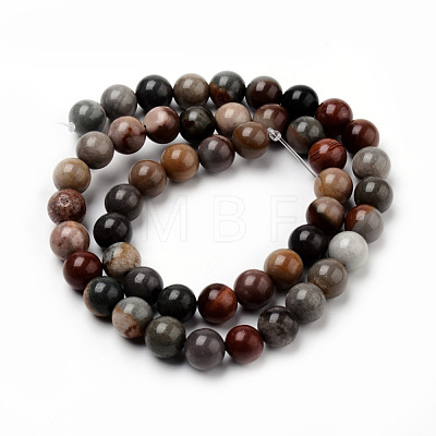 Natural America Picture Jasper Beads Strands G-Q462-58-8mm-1