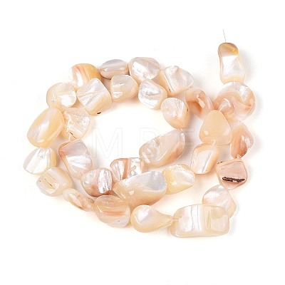 Natural Sea Shell Beads Strands SSHEL-N041-02A-1