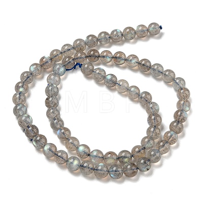 Natural Labradorite Beads Strands G-F602-04A-1