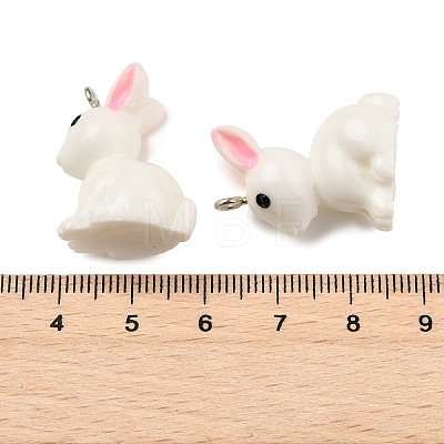 Resin Pendants RESI-S356-53-1