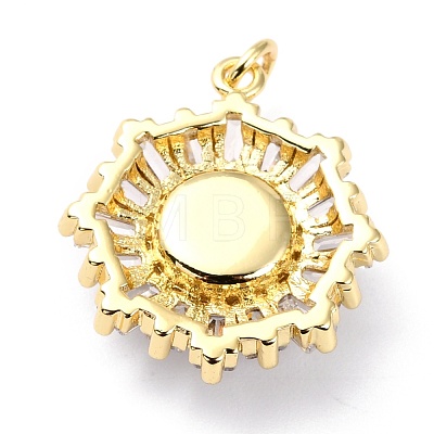 Brass Micro Pave Cubic Zirconia Pendants ZIRC-O044-21B-G-1