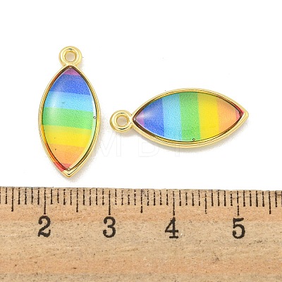 Rainbow Color Opaque Resin Pendants KK-M290-04A-G-1