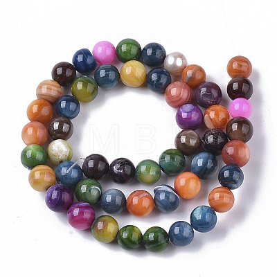 Freshwater Shell Beads Strands SHEL-T013-003-1