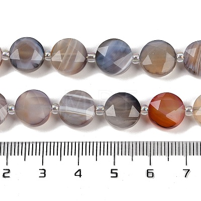 Natural Botswana Agate Beads Strands G-C116-A65-01-1