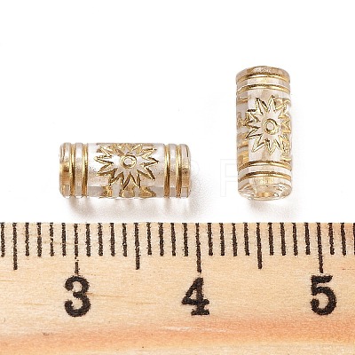 Metal Enlaced Transparent Acrylic Beads MACR-M045-06-1