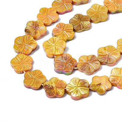 Natural Freshwater Shell Beads Strands LS-SHEL-Q025-002E-1