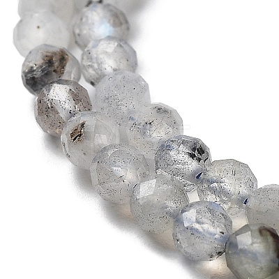 Natural Labradorite Beads Strands G-I341-11-1