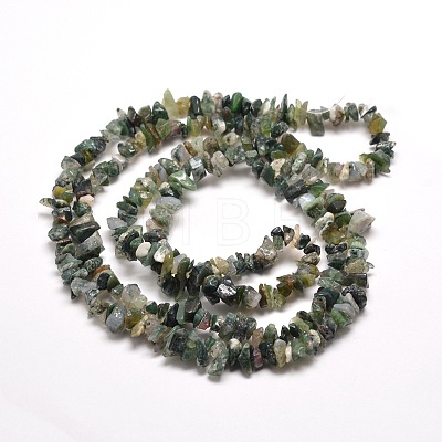 Natural Moss Agate Chip Bead Strands X-G-M205-45-1