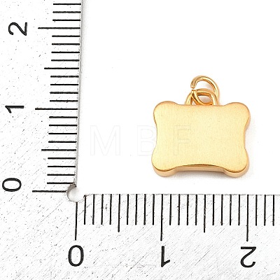 304 Stainless Steel Charms STAS-I360-03G-1