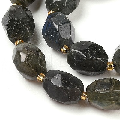 Natural Labradorite Beads Strands G-P541-A01-08-1