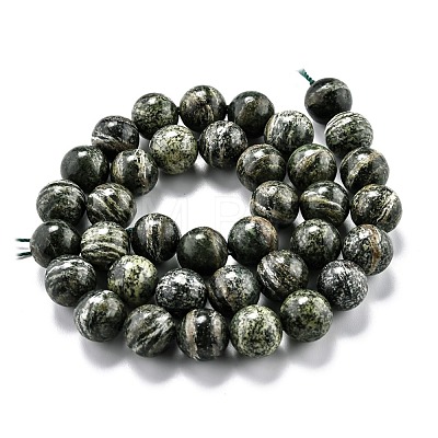 Natural Green Zebra Jasper Beads Strands G-L574-05C-1